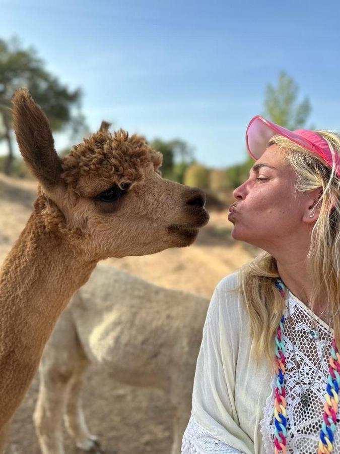 Alpaca Farm And B&B - Mama Adama Grândola Exteriér fotografie